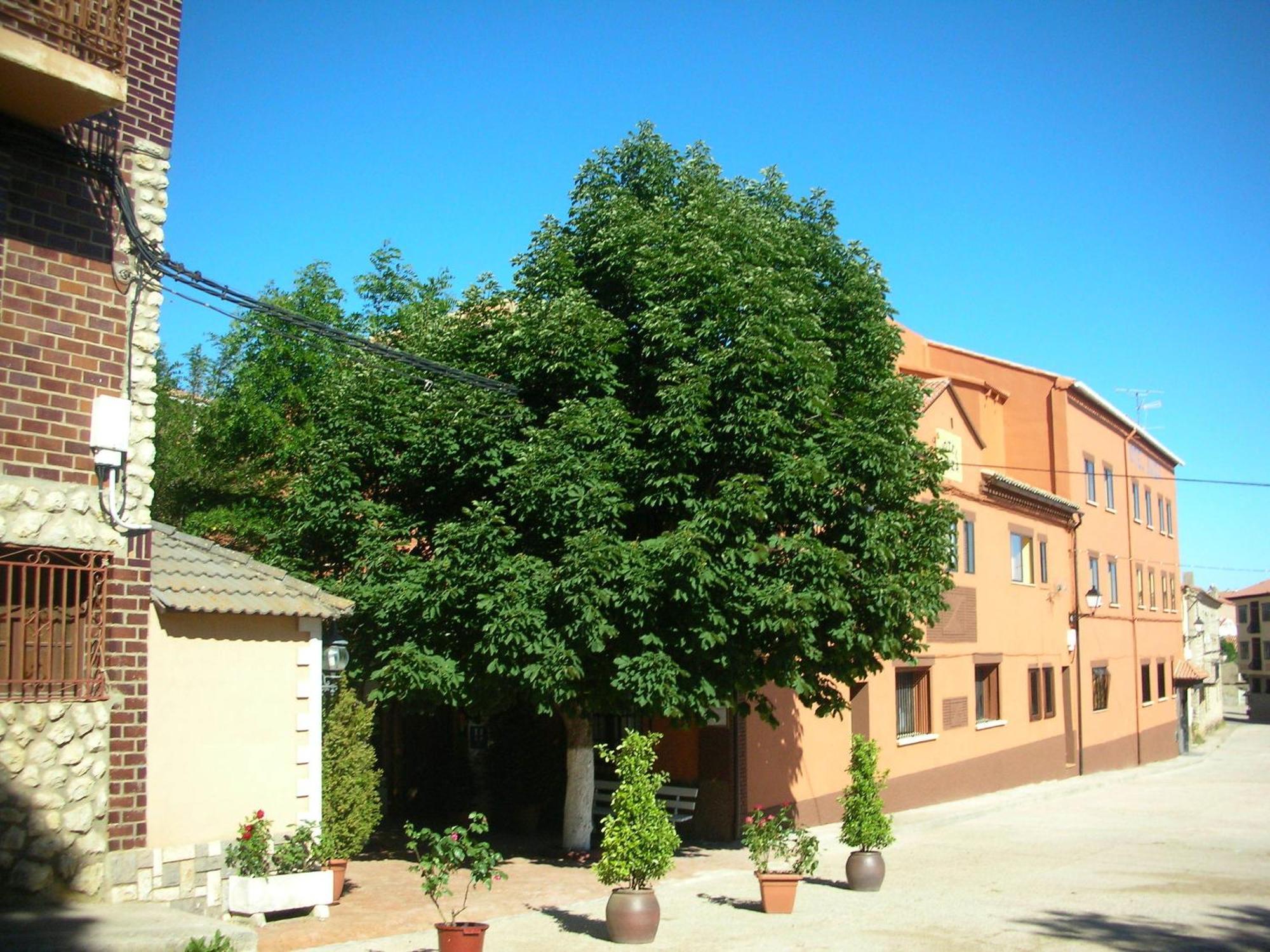 Hotel Suiza Bronchales Exterior photo
