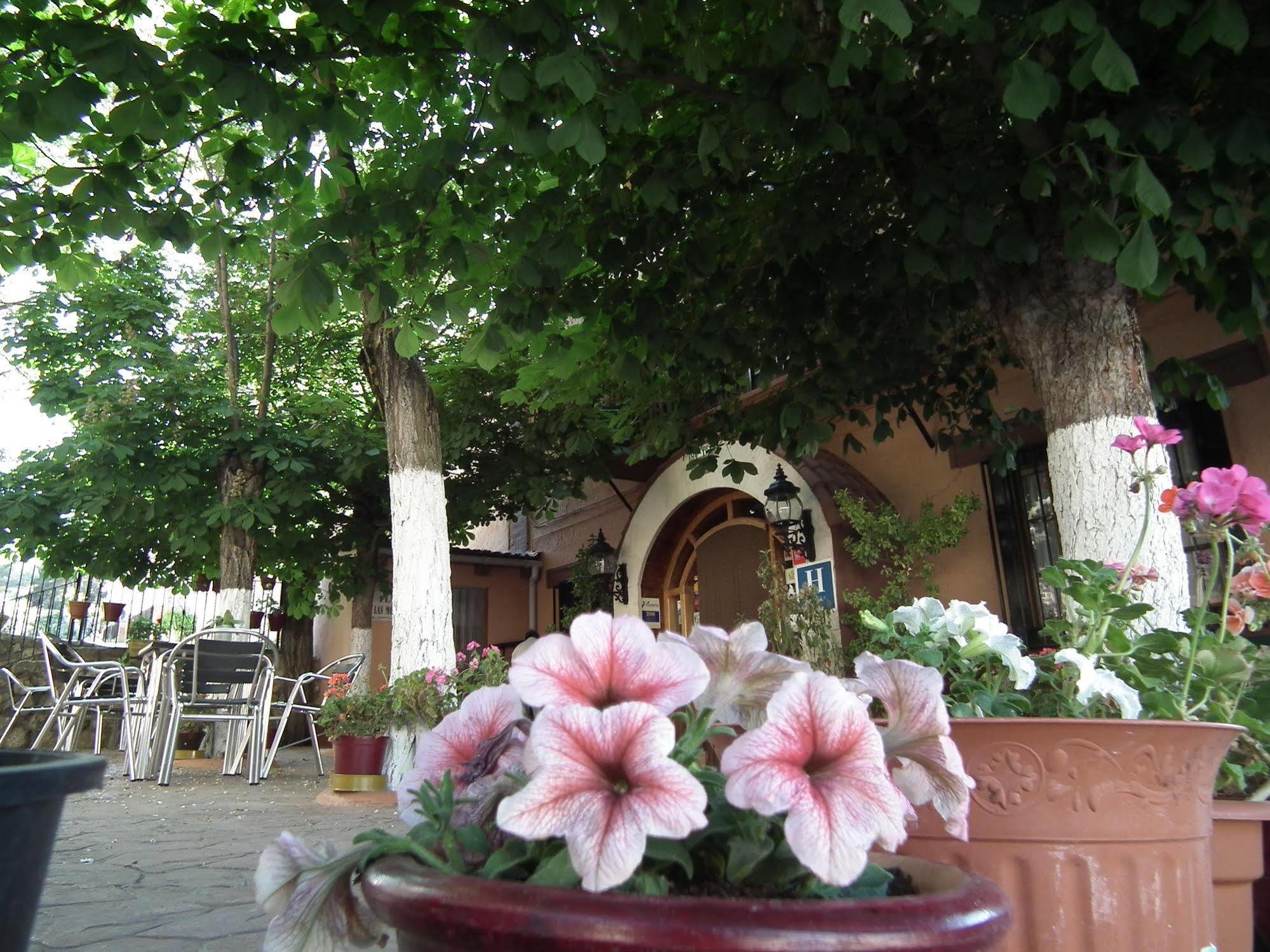 Hotel Suiza Bronchales Exterior photo